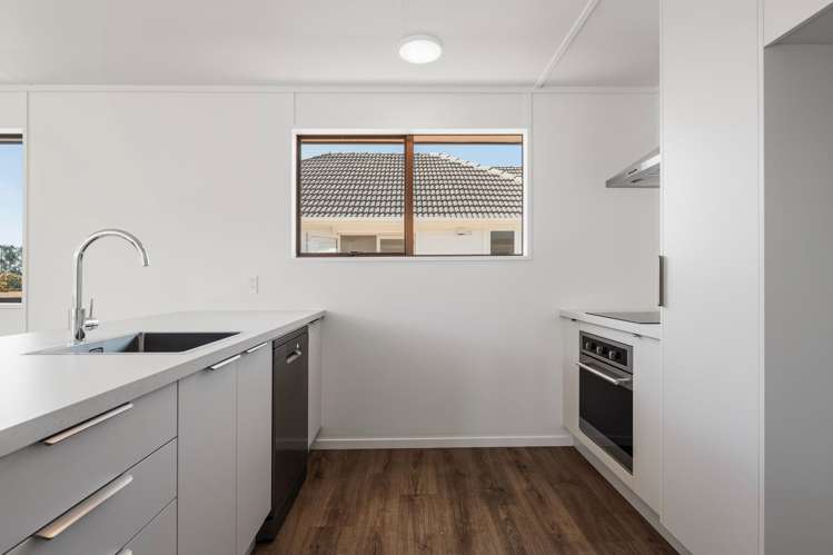 11a George Street Te Puke_4
