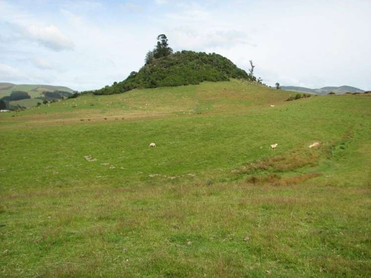 544 Owaka Valley Road Catlins Surrounds_1