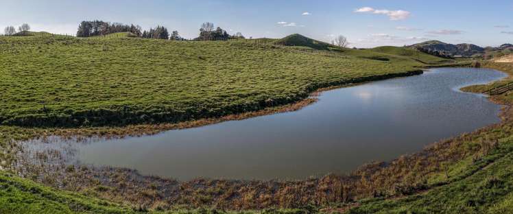 Lot Lot 3/2333 Puketitiri Road Rissington_10