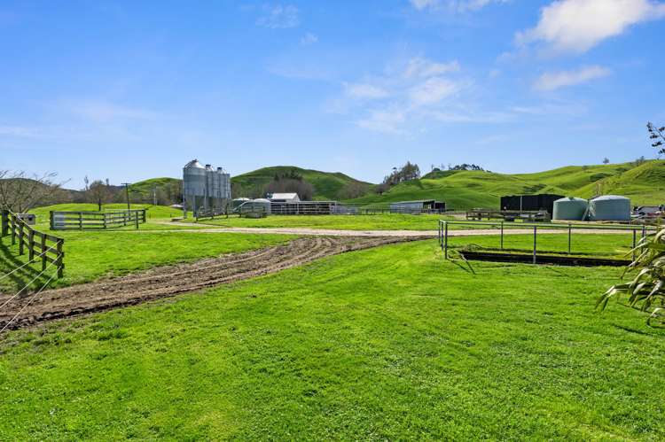 385 Whirinaki Valley Road Ngakuru_13