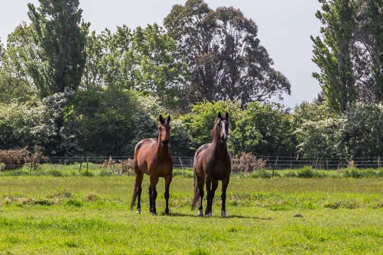 322 Perymans Road Lincoln_21