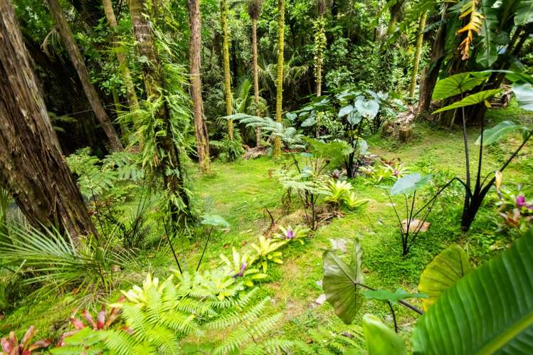 90 Laingholm Drive Laingholm_35