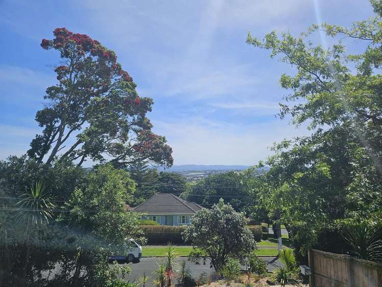 6 Simmonds Avenue Mount Roskill_11