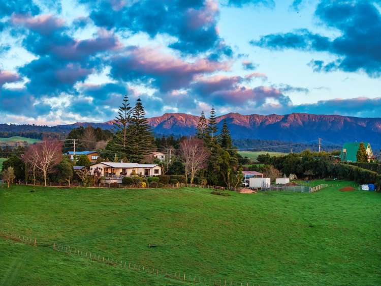 533 Wainui South Road Whakamarama_4