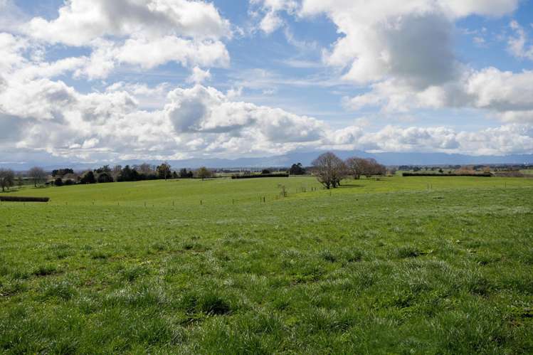 180 Cameron Road Morrinsville_20