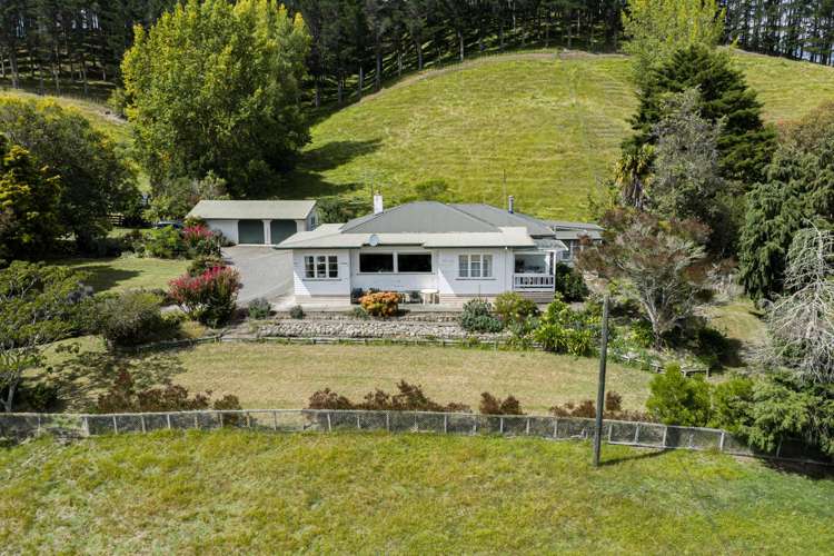 564 Swamp Road Puketapu_0