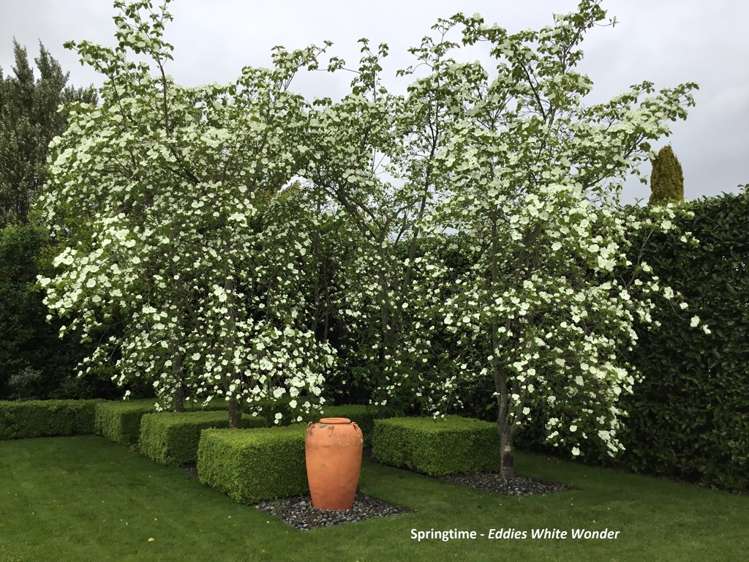 87 Renall Street Masterton_20