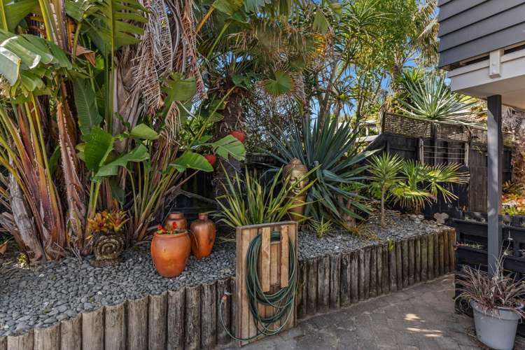 246A Pohutukawa Avenue Ohope_16