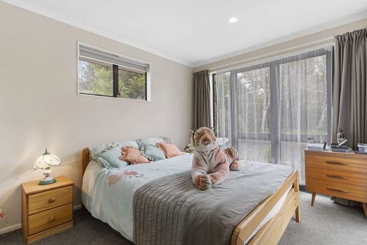 165 Colombo Road Waiuku_11