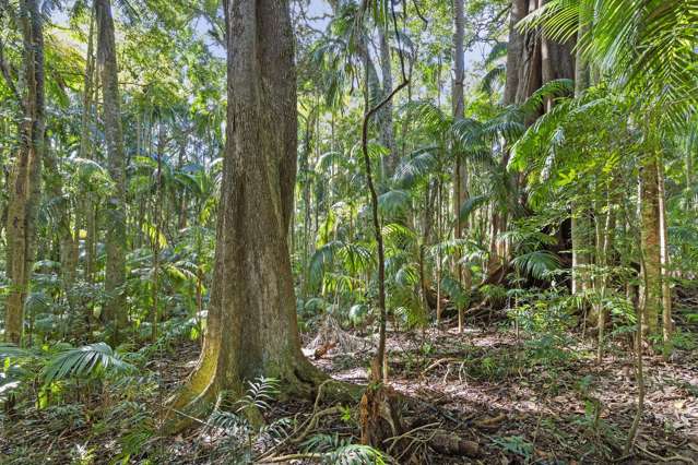 28a Geissmann Street Tamborine Mountain_1