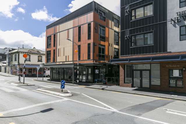 4/54 Webb Street Te Aro_1