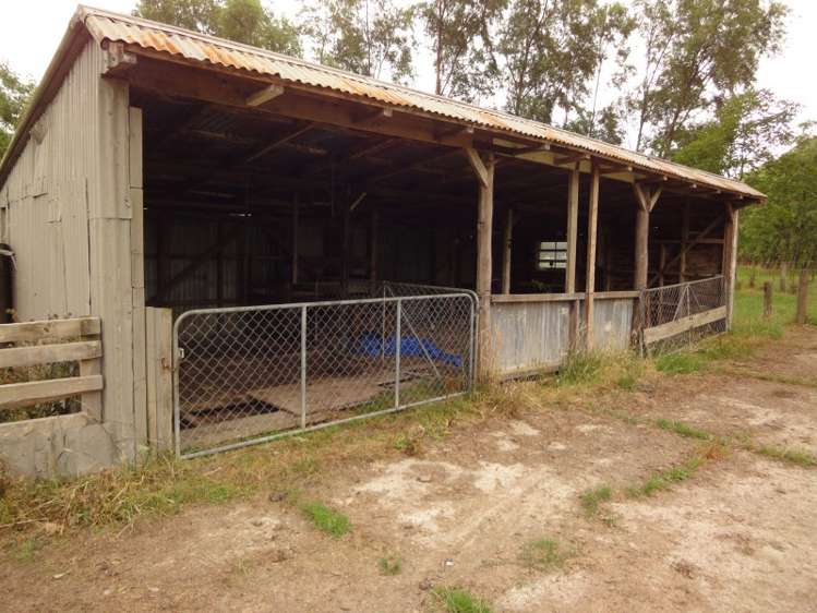 291 Hinemoa Valley Road Pahiatua_13