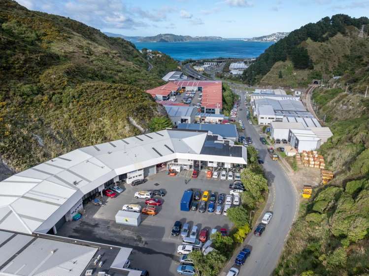 20 Glover Street Ngauranga_16