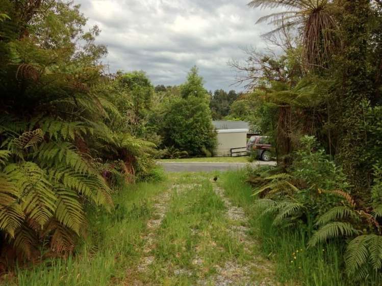 7 Punga Grove Lake Kaniere_18