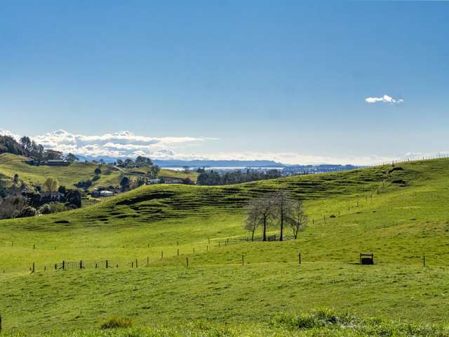 164C Crawford Road Te Puna_1