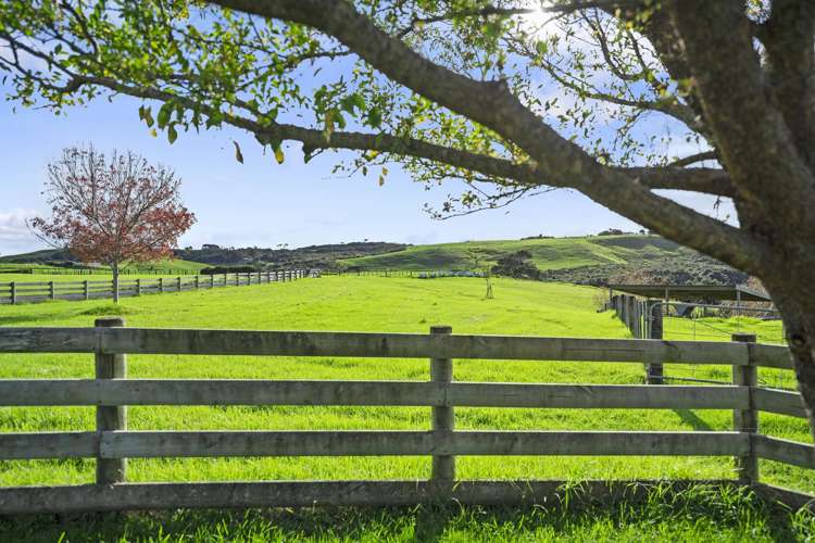 68D Tuparekura Road, South Head Helensville_30