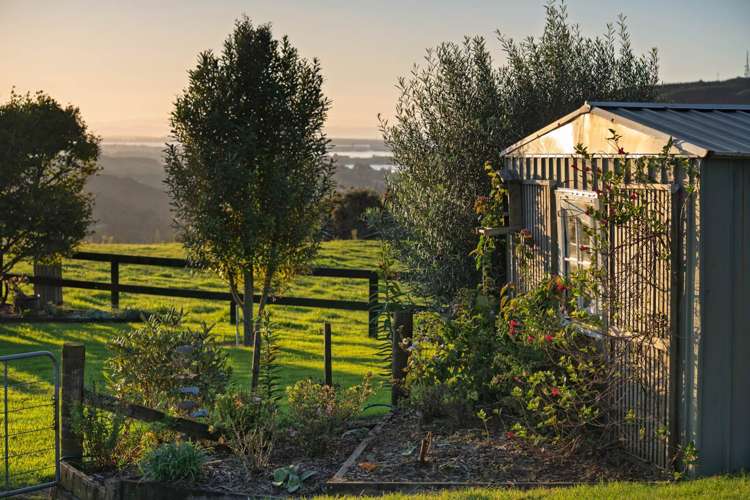 415 Rocky Cutting Road Kaimai_21