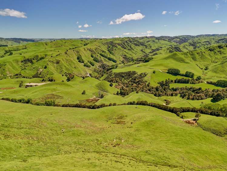 34 O’Neills Road Kakatahi_3