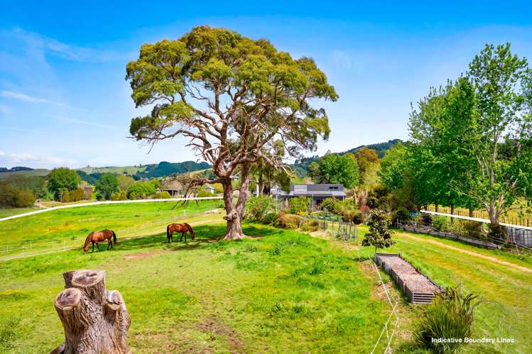 16 Guy Road Kaipara Flats_1