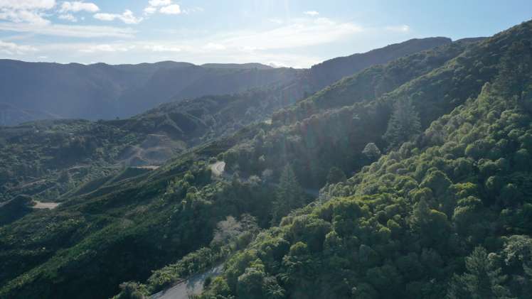 Takaka Hill Takaka Hill_2