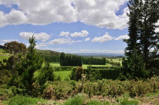 Lot 5 Gaudion Road, Peebles Oamaru_4