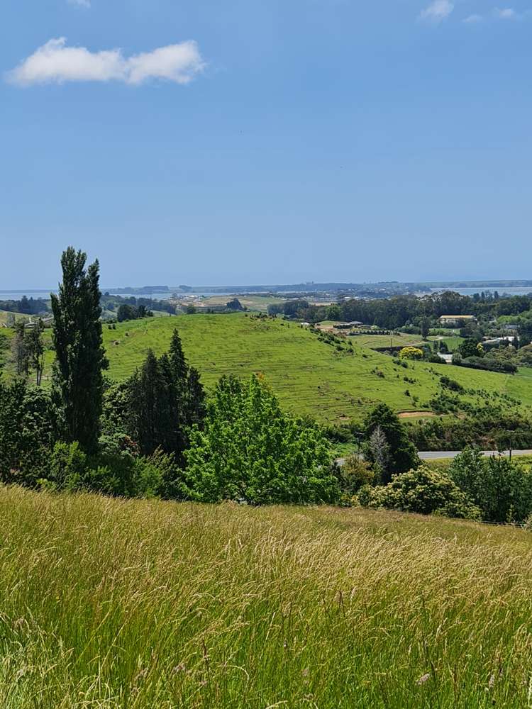 70 Whakamarama Road Whakamarama_15