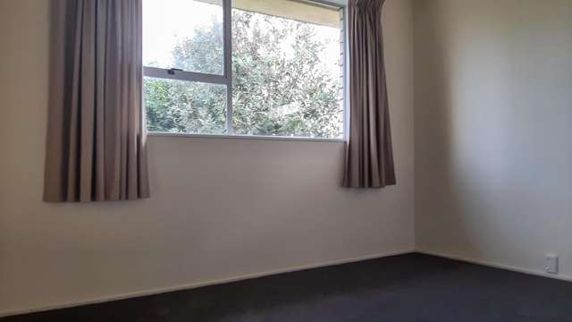 46a Livingstone Avenue Nawton_3