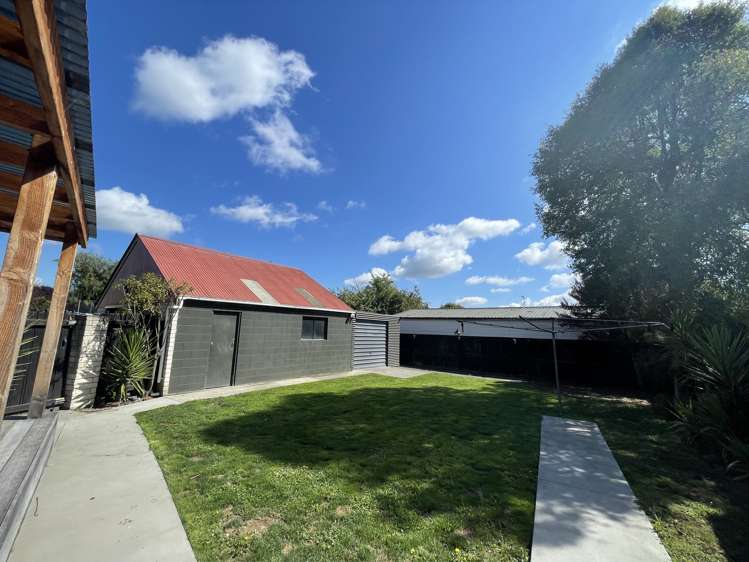 83 Lowry Avenue Redwood_11