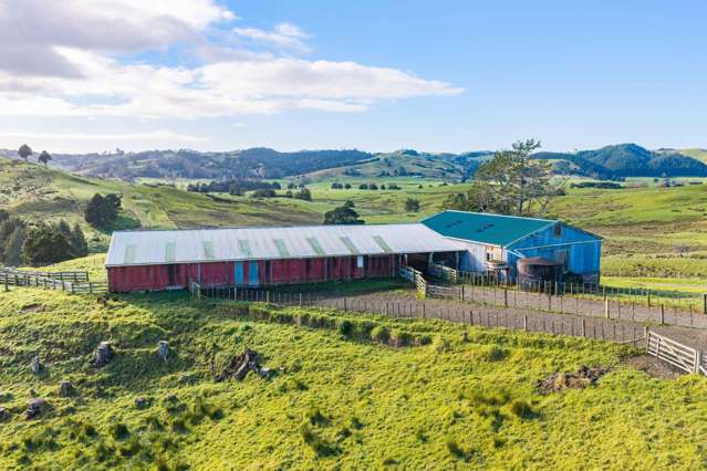 80 Harrison Road Waiotira_2
