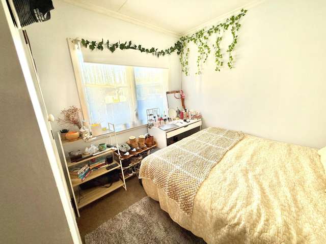 521 Lowe Street Camberley_4