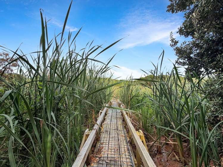 111 Karaka Street 1200_18