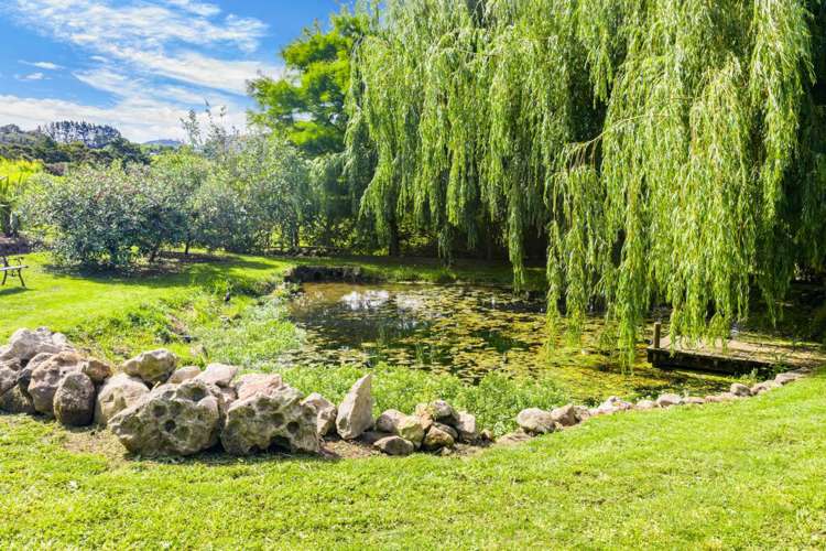 470 Tara Road Mangawhai_39