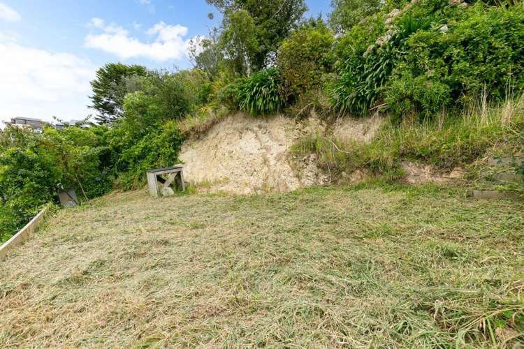 19 Churton Drive Churton Park_13