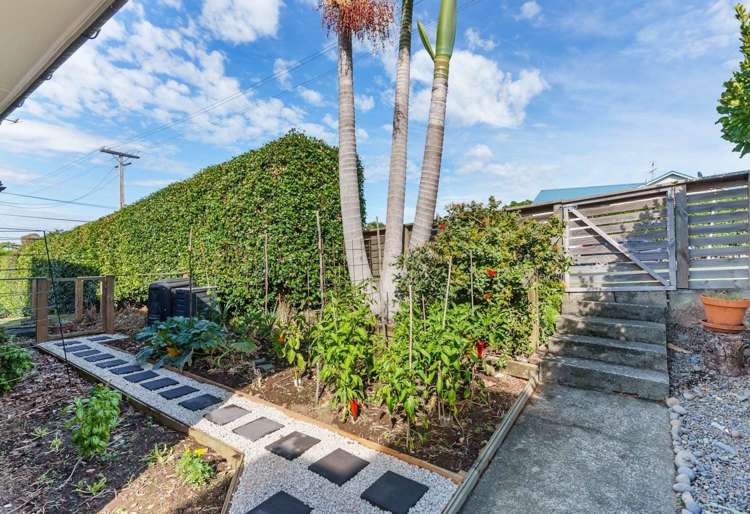 Riddell Road Glendowie_18