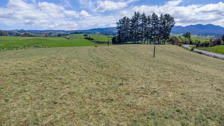 850 Ormsby Road Pirongia_5