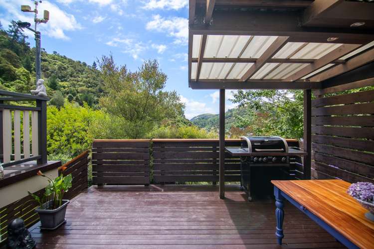 49 Sowman Street The Brook_16