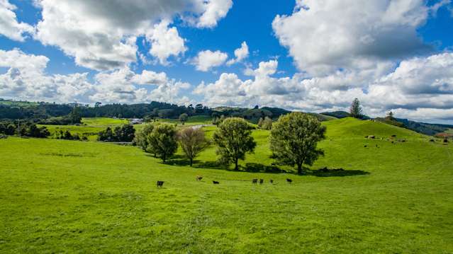 4409 Kaipara Coast Highway Tauhoa_3