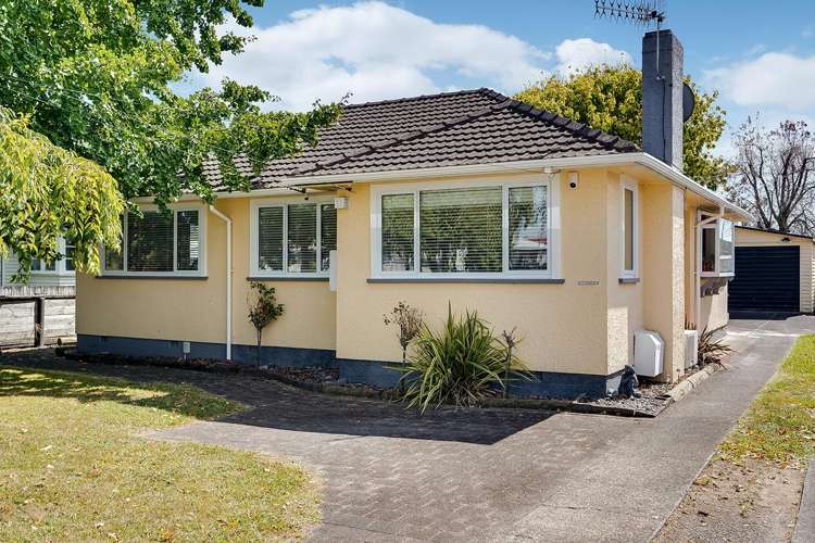 18 Puriri Street Nawton_0