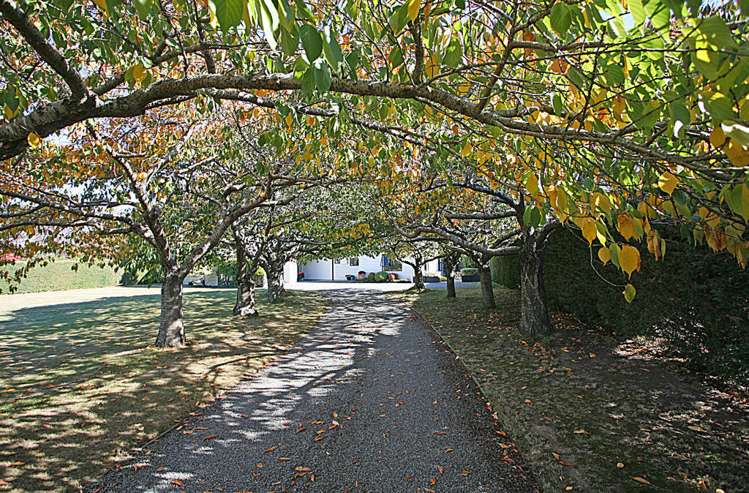 29 Westview Crescent West Melton_27