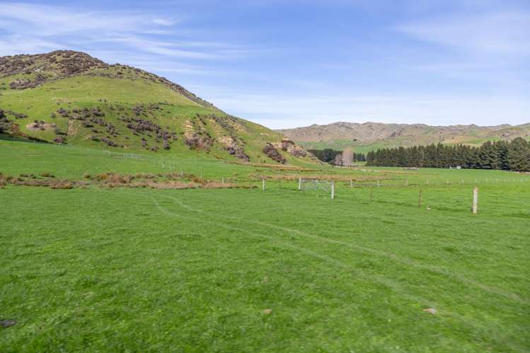 773 Cat Hill Road Cheviot_41