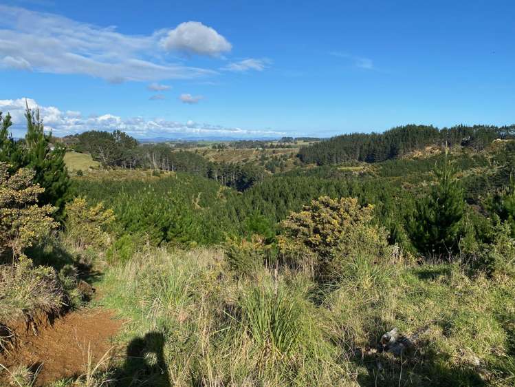 Lot 6 Tram Gully Road Awhitu_8