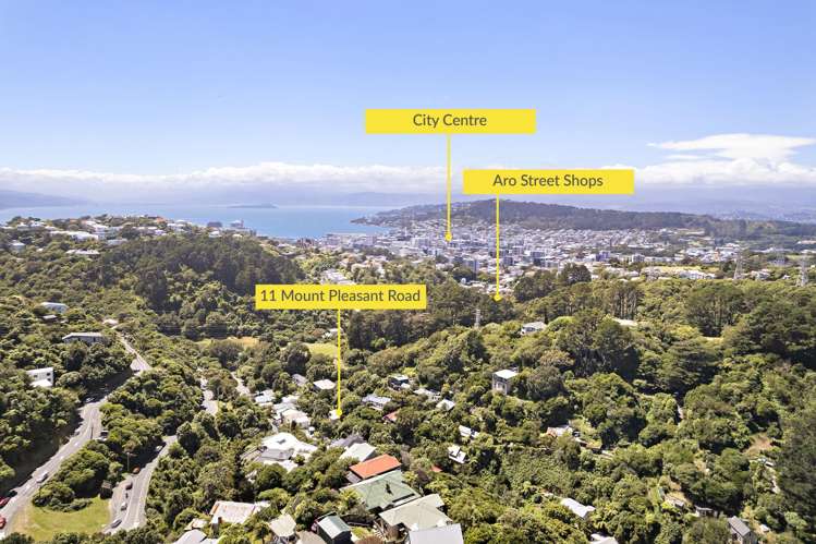 11 Mt Pleasant Road Aro Valley_22