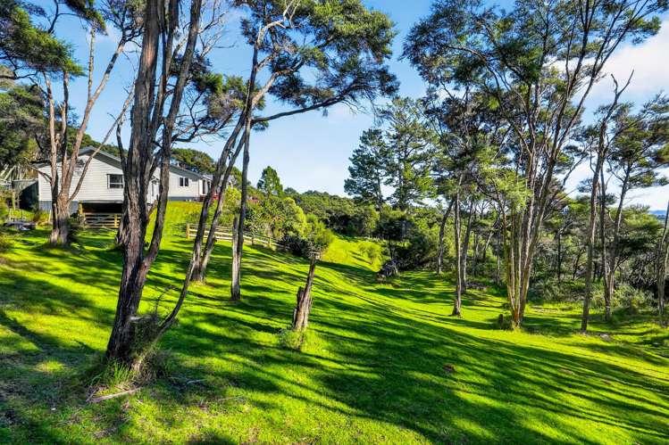 397 Wishart Road Helensville_23