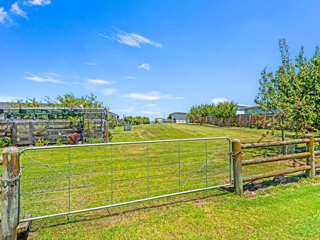 36 Shakespeare Road Bastia Hill_2