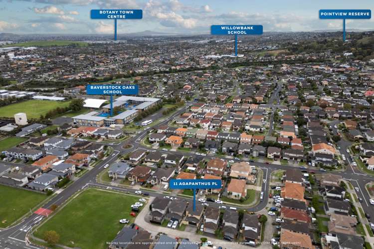 11 Agapanthus Place Flat Bush_24