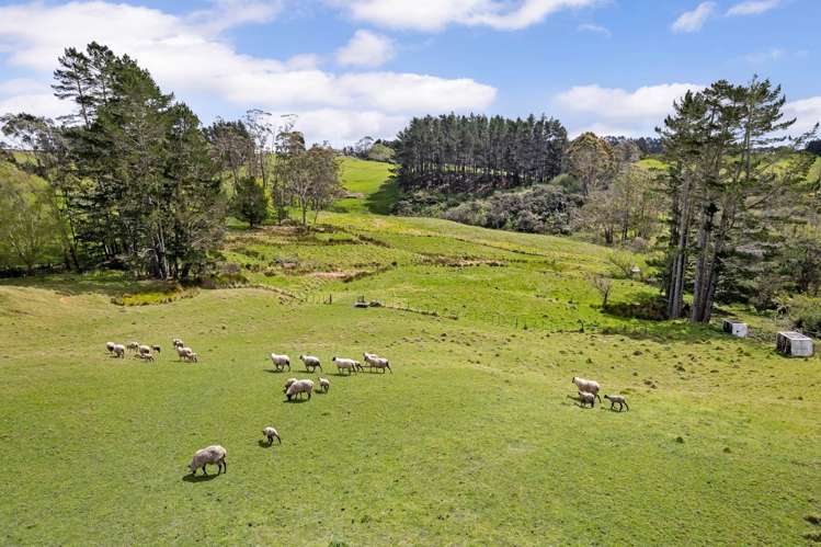 1238 Peak Road Helensville_18