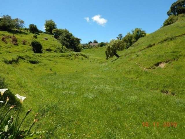 28 West Way Durie Hill_1