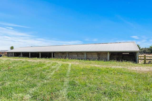 Stanley Road Te Aroha_4