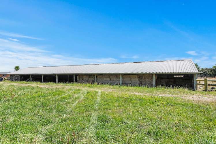 Stanley Road Te Aroha_4