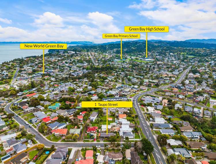 1 Taupo Street Green Bay_16